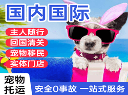 忻州机场快递国际宠物托运 【国